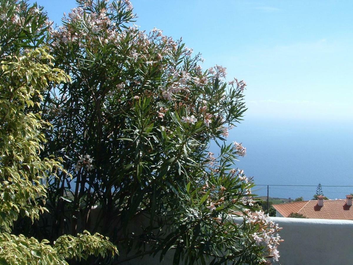 Casa Los Vinedos B Fuencaliente de la Palma Exteriér fotografie